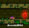 Fireboy and Watergirl Forest Temple